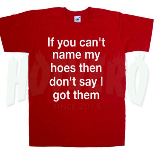 If You Can't Name My Hoes Slogan T Shirt